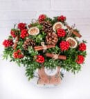 Holly Flower and Pine Cones in Glass Aquarium