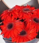 Red Gerbera Flower Bouquet