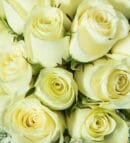 25 White Roses in a Vase