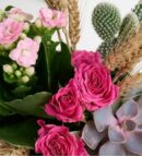 Pink Concrete Pot with Opuntia Microdasys & Kalanchoe