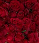 150 Red Roses in Kraft Wrapping Paper