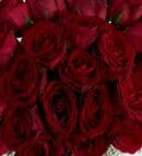 25 Red Roses in Vase