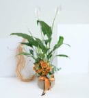 Spathiphyllum and Orange Roses in Geometric Pot