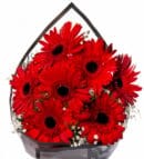 7 Red Gerberas in a Black Striped Matte Bouquet