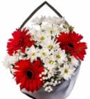 Red Gerberas & White Daisies Flower Bouquet