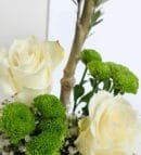 Olive Tree Bonsai & White Roses in a Patterned Pot