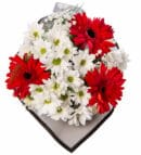 Red Gerberas & White Daisies Flower Bouquet