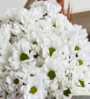 White Daisy Flower Bouquet