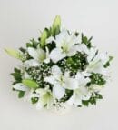 White Lilies in White Concrete Pot