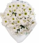 White Daisy Flower Bouquet