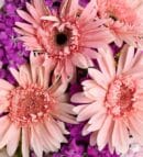 Pink Gerberas & Hyacinths in a Powder Pink Bouquet