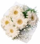 White Striped White Gerbera Bouquet