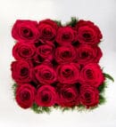 16 Red Roses in Box Amor Arrangement