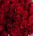 100 Red Roses Flower Bouquet