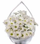 White Daisy Flower Bouquet