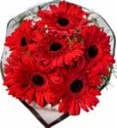 7 Red Gerberas in a Black Striped Matte Bouquet