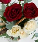 Red and White Roses in a Striped Glass Vase