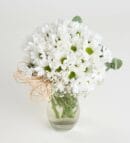 Daisy Garden in a Vase