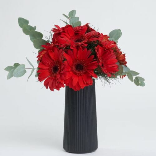 Red Gerbera Flowers in a Black Striped Vase Istanbul