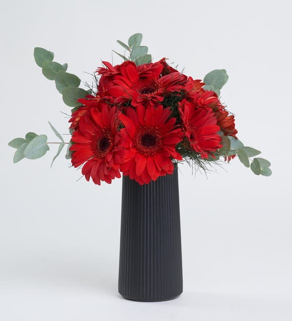 Red Gerbera Flowers in a Black Striped Vase