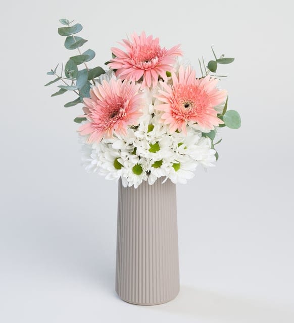 White Daisies & Pink Gerberas in a Beige Vase